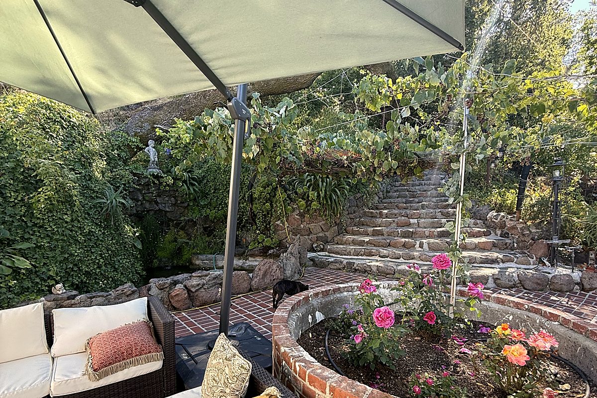 The garden patio outside the San Rafael office, with stone steps and roses